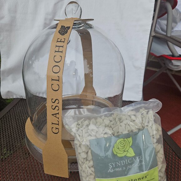 Large 12" Syndicate Home and Garden Glass Terrarium/Cloche W/Bottom Plate - Picture 1 of 9